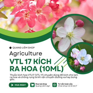Phân bón lá VTL 17 kích ra hoa dành cho  hoa lan hoa hồng, chống rụng lá cánh hoa (10ml)