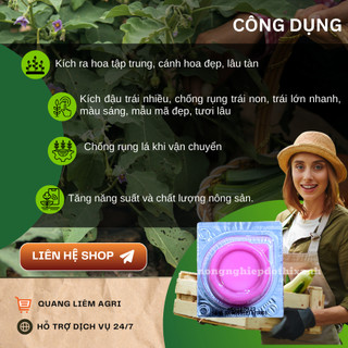 Phân bón lá VTL 17 kích ra hoa dành cho  hoa lan hoa hồng, chống rụng lá cánh hoa (10ml)