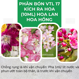 Phân bón lá VTL 17 kích ra hoa dành cho  hoa lan hoa hồng, chống rụng lá cánh hoa (10ml)