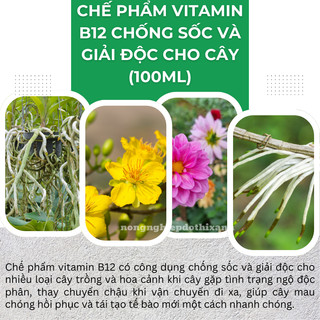 Chế phẩm vitamin B12 chống sốc và giải độc cho cây trồng, hoa kiểng (chai 100ml)