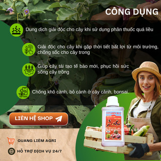 Chế phẩm vitamin B12 chống sốc và giải độc cho cây trồng, hoa kiểng (chai 100ml)
