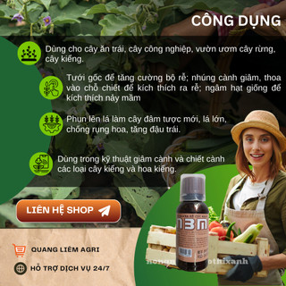 Phân bón lá kích rễ N3M dạng nước - mạnh mẽ hơn, đậm đặc hơn (hũ 100ml)