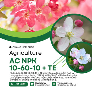 Phân bón lá Siêu Lân AC NPK 10-60-10 + TE Á Châu - chuyên gia tạo mầm hoa (hũ 100gram)