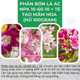 Phân bón lá Siêu Lân AC NPK 10-60-10 + TE Á Châu - chuyên gia tạo mầm hoa (hũ 100gram)