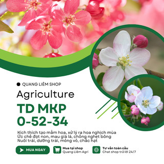 Phân bón lá vi lượng TD MKP 0-52-34 Thiên Di, kích tạo mầm hoa xử lý hoa nghịch mùa (hũ 100 gram)