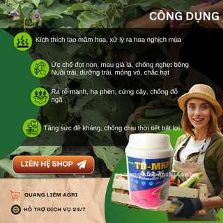 Phân bón lá vi lượng TD MKP 0-52-34 Thiên Di, kích tạo mầm hoa xử lý hoa nghịch mùa (hũ 100 gram)