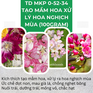 Phân bón lá vi lượng TD MKP 0-52-34 Thiên Di, kích tạo mầm hoa xử lý hoa nghịch mùa (hũ 100 gram)