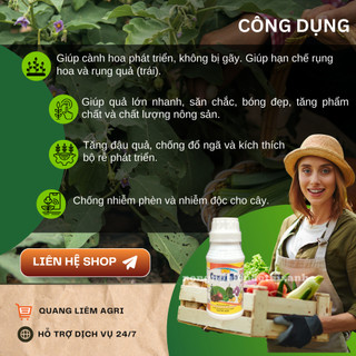 Phân vi lượng siêu Canxi Bo, xanh lá, hoa và trái non lọ Bình Điền Vươn Xanh (hũ 100ml)