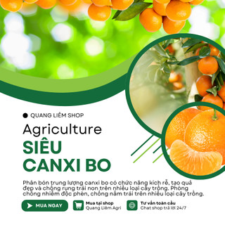 Phân vi lượng siêu Canxi Bo, xanh lá, hoa và trái non lọ Bình Điền Vươn Xanh (hũ 100ml)