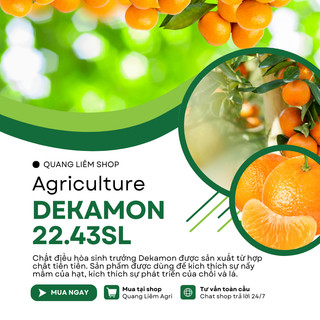 Chất điều hòa sinh trưởng cây trồng Dekamon 22.43SL, nảy mầm ra rễ phát triển chồi lá - chai 100ml
