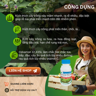 Chất điều hòa sinh trưởng cây trồng Dekamon 22.43SL, nảy mầm ra rễ phát triển chồi lá - chai 100ml