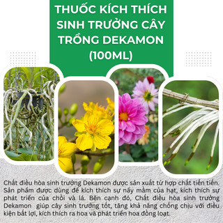 Chất điều hòa sinh trưởng cây trồng Dekamon 22.43SL, nảy mầm ra rễ phát triển chồi lá - chai 100ml