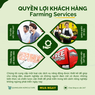 Tinh vôi 98 - Siêu sát khuẩn tăng PH sát khuẩn cao, sát khuẩn đất đai trong nông nghiệp (Túi 1kg)