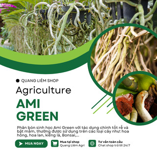 Phân Bón Sinh Học Ami Green  Tốt Rễ - Bật Mầm - Xanh Lá (100ml)