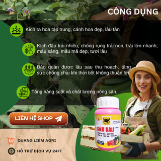 Phân Bón Lá Siêu Kali & Kẽm Hiệu Đầu Trâu  Ra Hoa, Đậu Trái, Đẹp Mã, Tươi Lâu (Hũ 100gram)