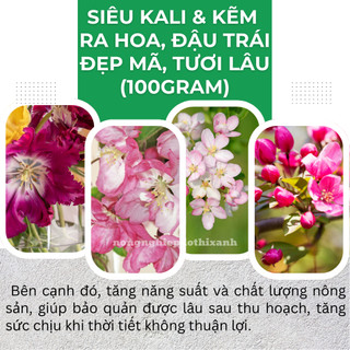 Phân Bón Lá Siêu Kali & Kẽm Hiệu Đầu Trâu  Ra Hoa, Đậu Trái, Đẹp Mã, Tươi Lâu (Hũ 100gram)