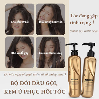 Dầu gội, dầu xả giúp tóc chắc khỏe, cải thiện hư tổn, lưu hương dài lâu