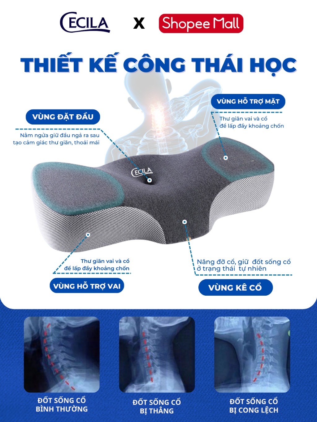 Sử Dụng Chiếc Ô Trong Đời Sống