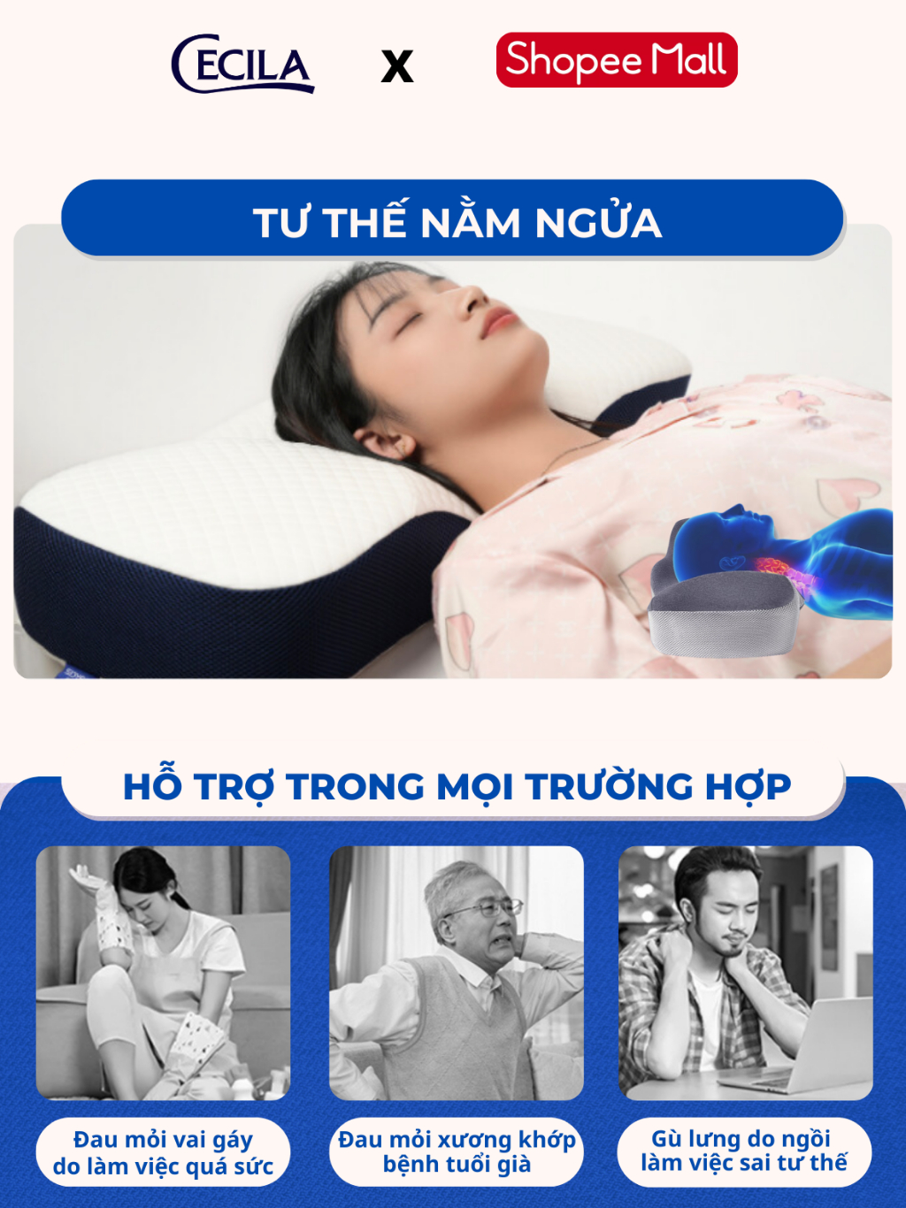 Chất Lượng Ô Tiêu Chuẩn