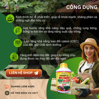 Phân Bón Hữu Cơ Acid Humic 322 Vàng Mỹ - Kích Rễ - Giải Độc - Cải Tạo Đất (Chai 235ml)