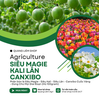 Combo phân bón lá Siêu Magie - Siêu Kali - Siêu Lân - Canxibo Cuốc Vàng (Hũ 100gram)