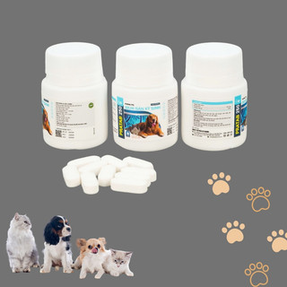 Thuốc thú y PRATAB 250 – Thuốc Phòng Trị Các Loại Giun Sán Trên Chó Mèo Cừu Dê Ngựa VN PET SHOP