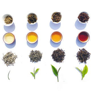 Sét SG03-Set trà Vân Sơn Phú Quý-SuGiTea