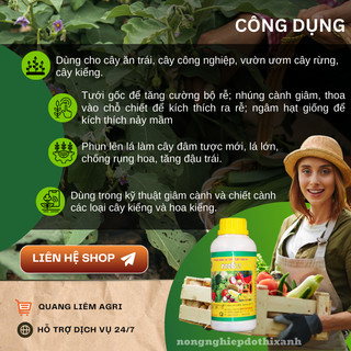 Phân bón lá cao cấp Hoa Kỳ Roots 2 - USA (500ml/1Lít), kích ra rễ cực mạnh, dùng trong giâm cành