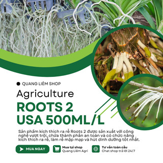 Phân bón lá cao cấp Hoa Kỳ Roots 2 - USA (500ml/1Lít), kích ra rễ cực mạnh, dùng trong giâm cành