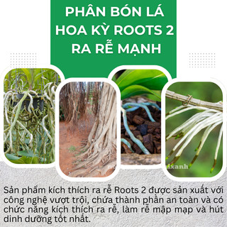 Phân bón lá cao cấp Hoa Kỳ Roots 2 - USA (500ml/1Lít), kích ra rễ cực mạnh, dùng trong giâm cành