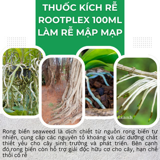 Phân Bón Lá ROOT PLEX - Phân Bón RootPlex Hữu Cơ Rong Biển (100ml), phân hữu cơ rong biển