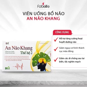 Viên Uống AN NÃO KHANG ĐK Hoạt Huyết Lưu Thông, Tuần Hoàn Máu Não N2 - Hộp 30 Viên