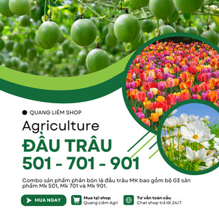Phân bón lá Đầu Trâu 501 - 701 - 901 (hũ 100gram), dùng được cho mọi giai đoạn của cây trồng
