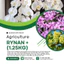 Phân bón Rynan (hũ 1,25KG), đủ các chỉ số 12-12-20; 23-08-08; 31-08-08; 22-10-10