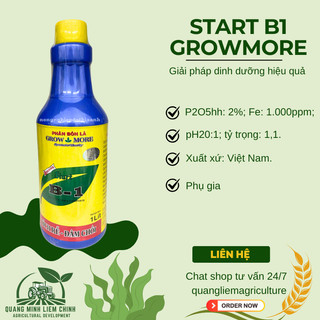 Phân bón lá đậm đặc cao cấp VITAMIN B1 Growmore (500ml, 1Lít) - B1 Kích Ra Bông