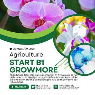 Phân bón lá đậm đặc cao cấp VITAMIN B1 Growmore (500ml, 1Lít) - B1 Kích Ra Bông