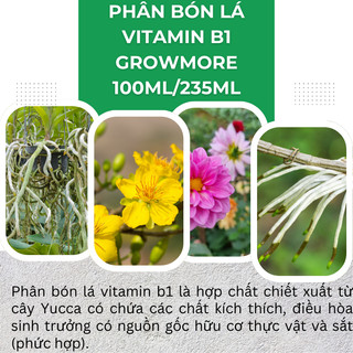 Phân bón lá đậm đặc cao cấp VITAMIN B1 Growmore (100ml, 235ml) - B1 Kích Ra Bông
