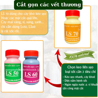 Keo liền sẹo liền da LS50, LS60, LS70 dùng cho cây trồng - Diệt khuẩn tốt kéo sẹo nhanh(25gr, 100gr)