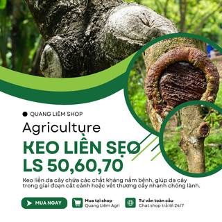 Keo liền sẹo liền da LS50, LS60, LS70 dùng cho cây trồng - Diệt khuẩn tốt kéo sẹo nhanh(25gr, 100gr)