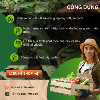 Keo liền da cây - keo liền sẹo - thuốc hỗ trợ chiết cành Mỹ Tiến hũ màu hồng (100gr, 225gr)