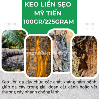 Keo liền da cây - keo liền sẹo - thuốc hỗ trợ chiết cành Mỹ Tiến hũ màu hồng (100gr, 225gr)