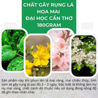 Chất Gây Rụng Lá Mai Vàng, Mai Chiếu Thủy Đại Học Cần Thơ (Gói 180gram), kích thích rụng lá mai