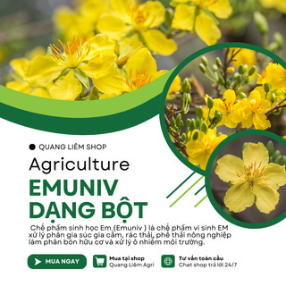 Chế phẩm vi sinh xử lý phế thải hữu cơ - EMUNIV dạng bột (gói 200gram)