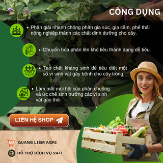 Chế phẩm vi sinh xử lý phế thải hữu cơ - EMUNIV dạng bột (gói 200gram)