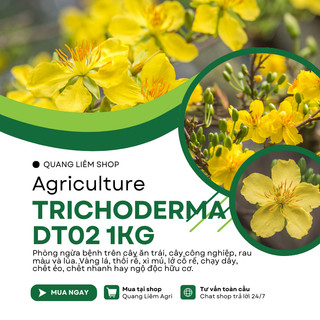 Chế phẩm men vi sinh nấm đối kháng Trichoderma Điền Trang (Túi 1KG)