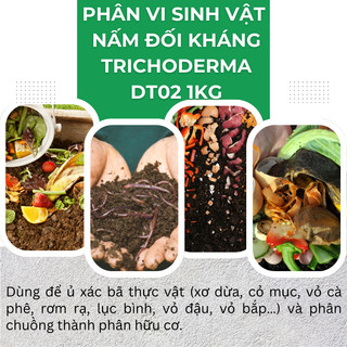Chế phẩm men vi sinh nấm đối kháng Trichoderma Điền Trang (Túi 1KG)