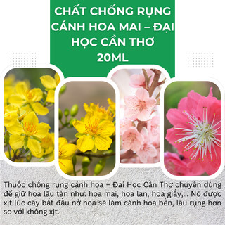 Chất Chống Rụng Cánh Hoa Mai – Đại Học Cần Thơ - Giúp Hoa Mai Lâu Tàn (Hũ 20ml)