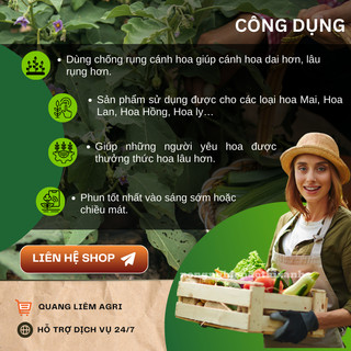 Chất Chống Rụng Cánh Hoa Mai – Đại Học Cần Thơ - Giúp Hoa Mai Lâu Tàn (Hũ 20ml)