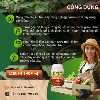 Phân Bón Lá Kích Ra Rễ Cực Mạnh N3M Nông Phú Lâm (100/500gr)