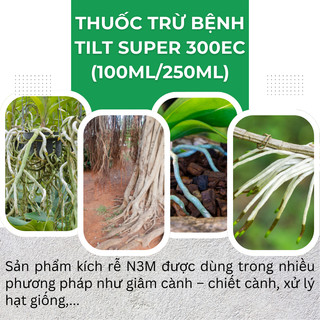 Phân Bón Lá Kích Ra Rễ Cực Mạnh N3M Nông Phú Lâm (100/500gr)